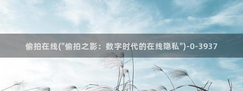 偷拍国内外视频：偷拍在线(\